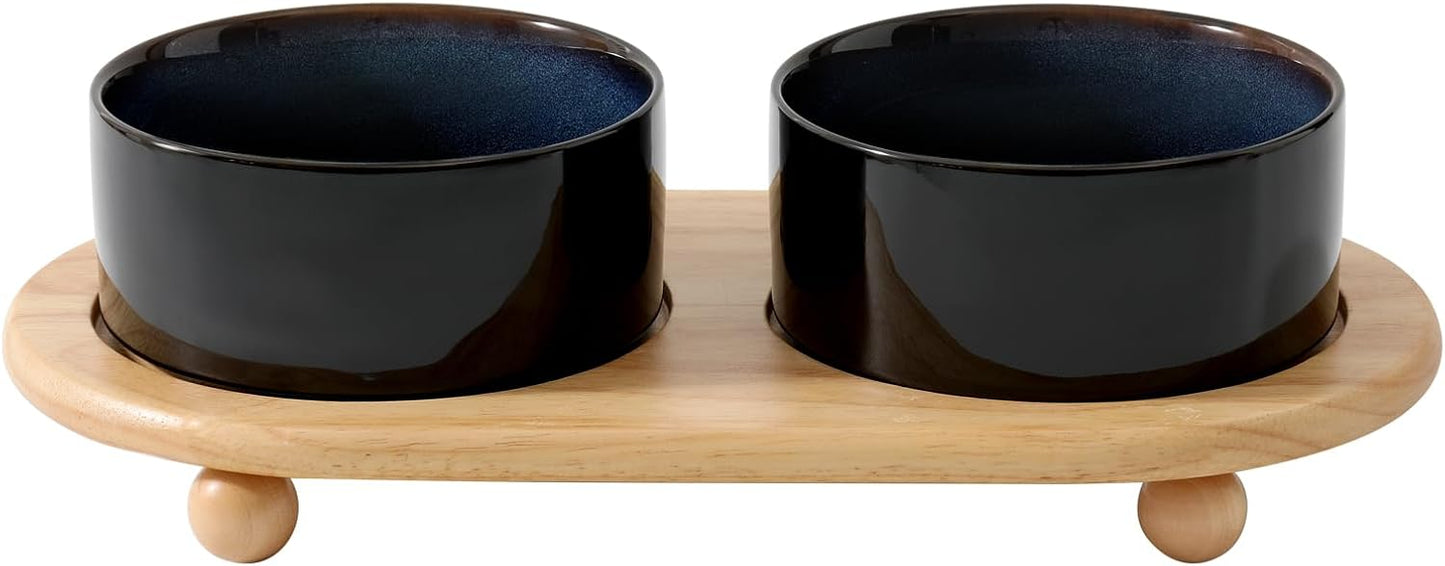 Ceramic Elevated Dog Bowls for Healthy Eating and Comfort