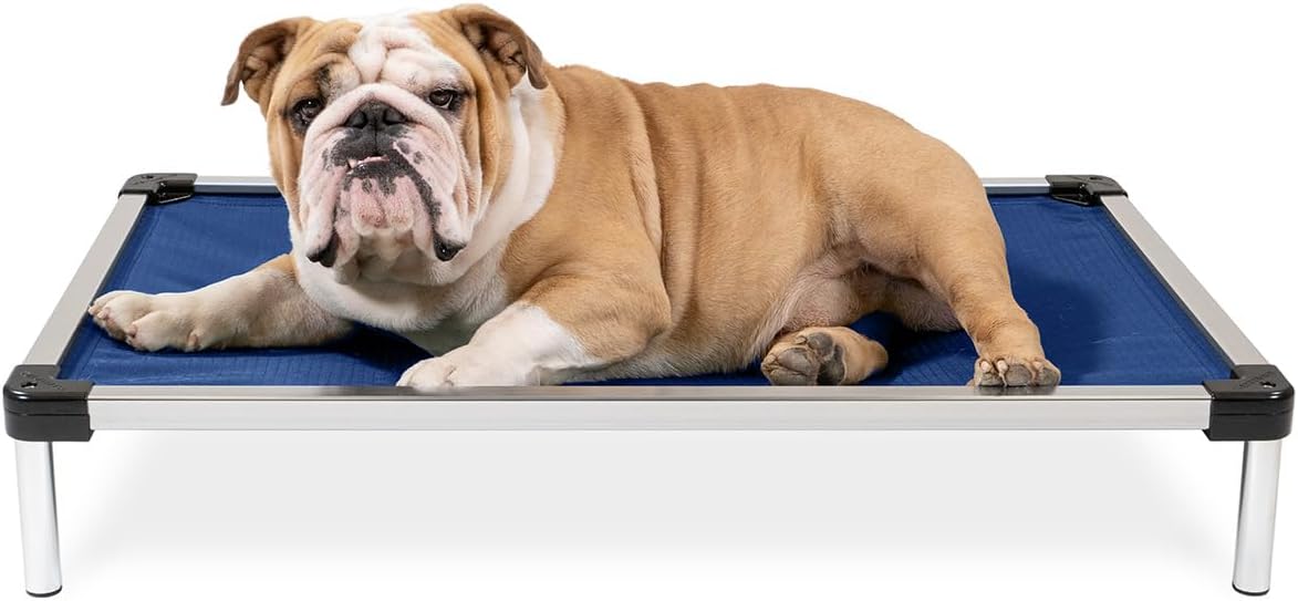 K9 Ballistics Chew Proof Elevated Cot Bed for Small Dogs & Puppies