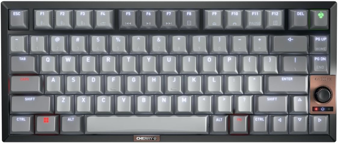 Cherry KW 300 MX Black Mechanical Keyboard with Hot-Swap Feature
