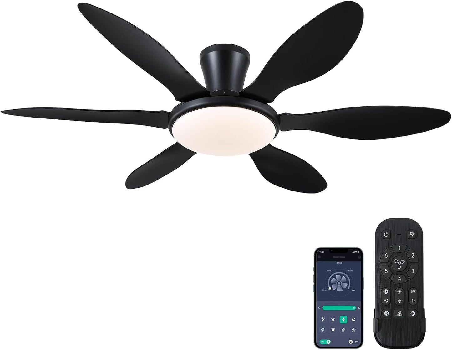BayDay 51 inch Modern Black Ceiling Fan with Lights