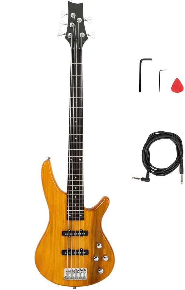 Ktaxon 5 String Electric Bass Guitar with Gig Bag and Accessories