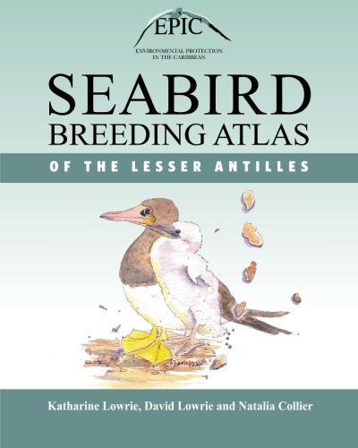 Seabird Breeding Atlas of the Lesser Antilles: A Comprehensive Guide