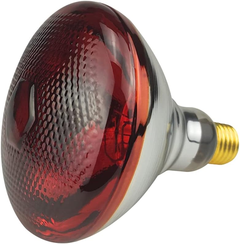 Heavy Duty 250W Red Heat Lamp Bulbs - Fast Heat for Pets & More!
