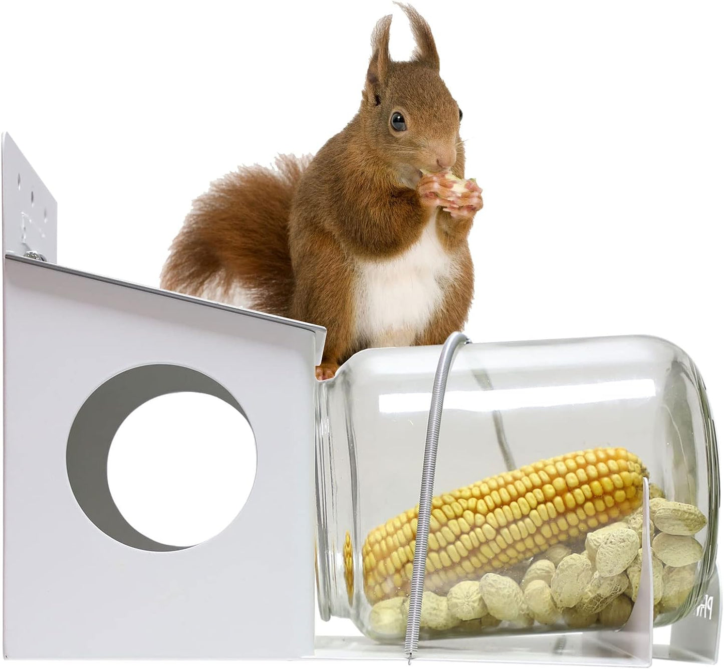 Squirrel Feeder for Outside - Enjoy Watching Squirrels Eat