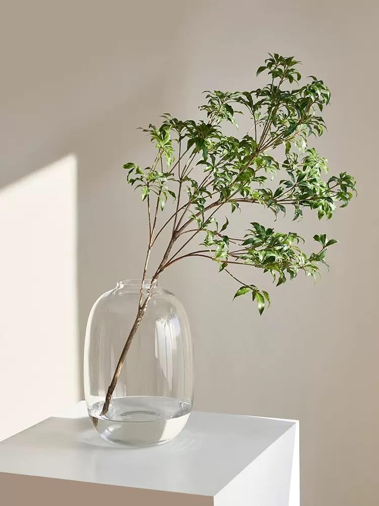 GeLive Clear Round Flower Vase for Stunning Home Decor