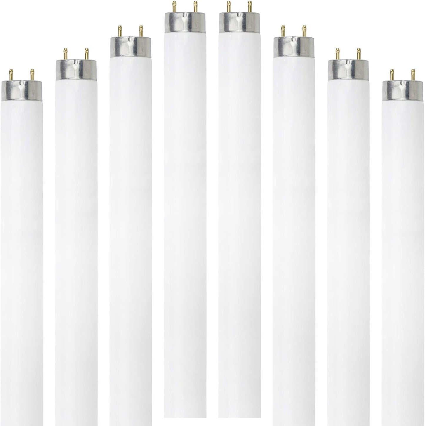 Dysmio Lighting F32T8-DL 32-Watt 48 Inch T8 Tube Light Bulbs