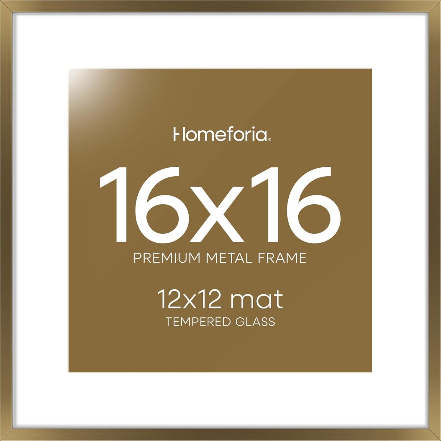 Homeforia 16x16 Picture Frame with Mat for Stunning Displays