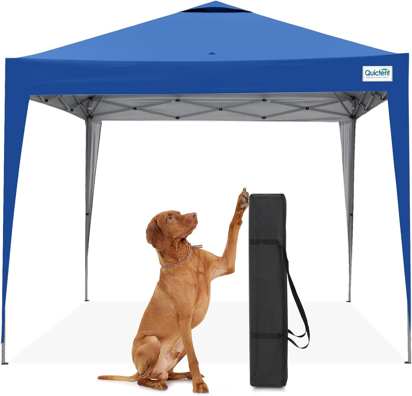 Quictent 10x10 Pop Up Canopy Tent for Outdoor Events and More