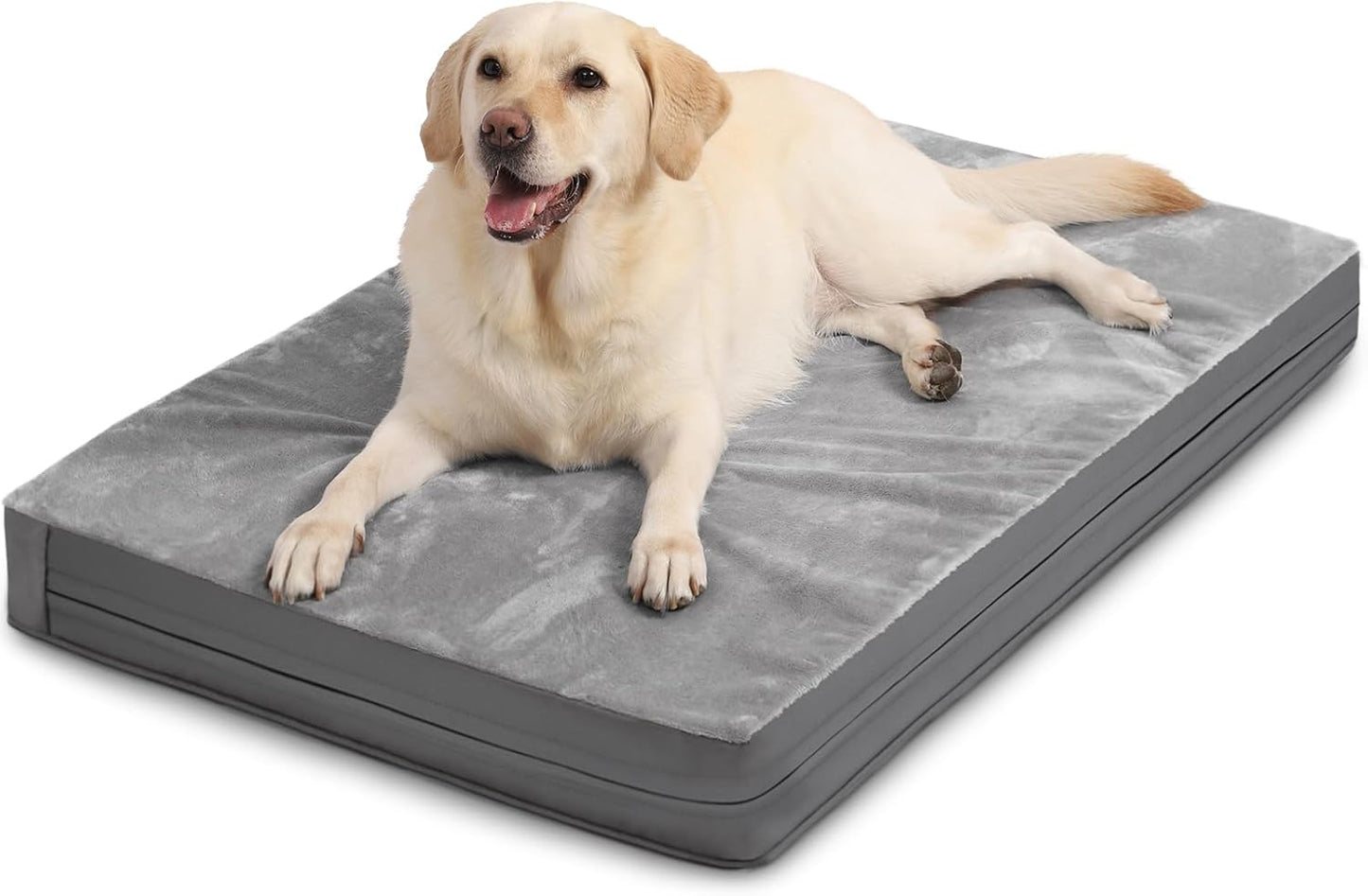Waterproof XL Dog Beds for Large Dogs with Orthopedic Support