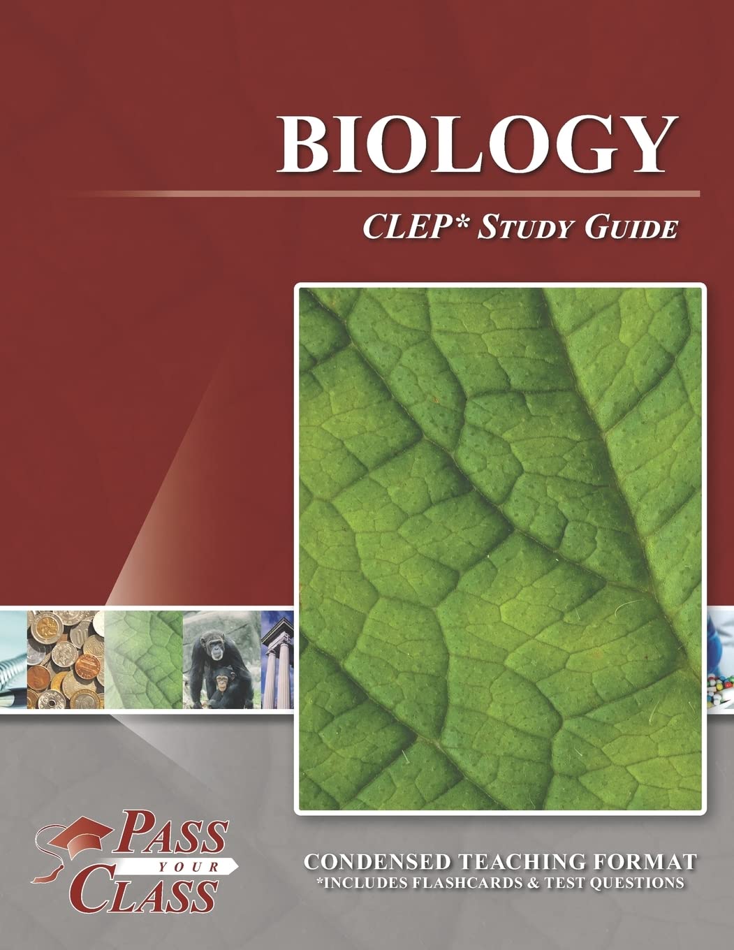 Biology CLEP Test Study Guide for Effective Exam Preparation