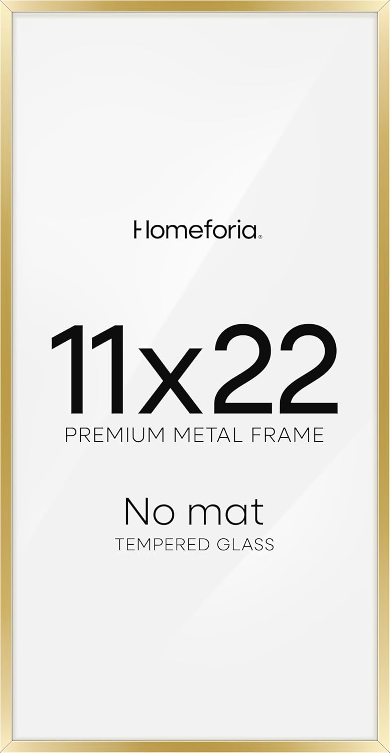 Homeforia 11x22 Newspaper Frame Gold for Elegant Display