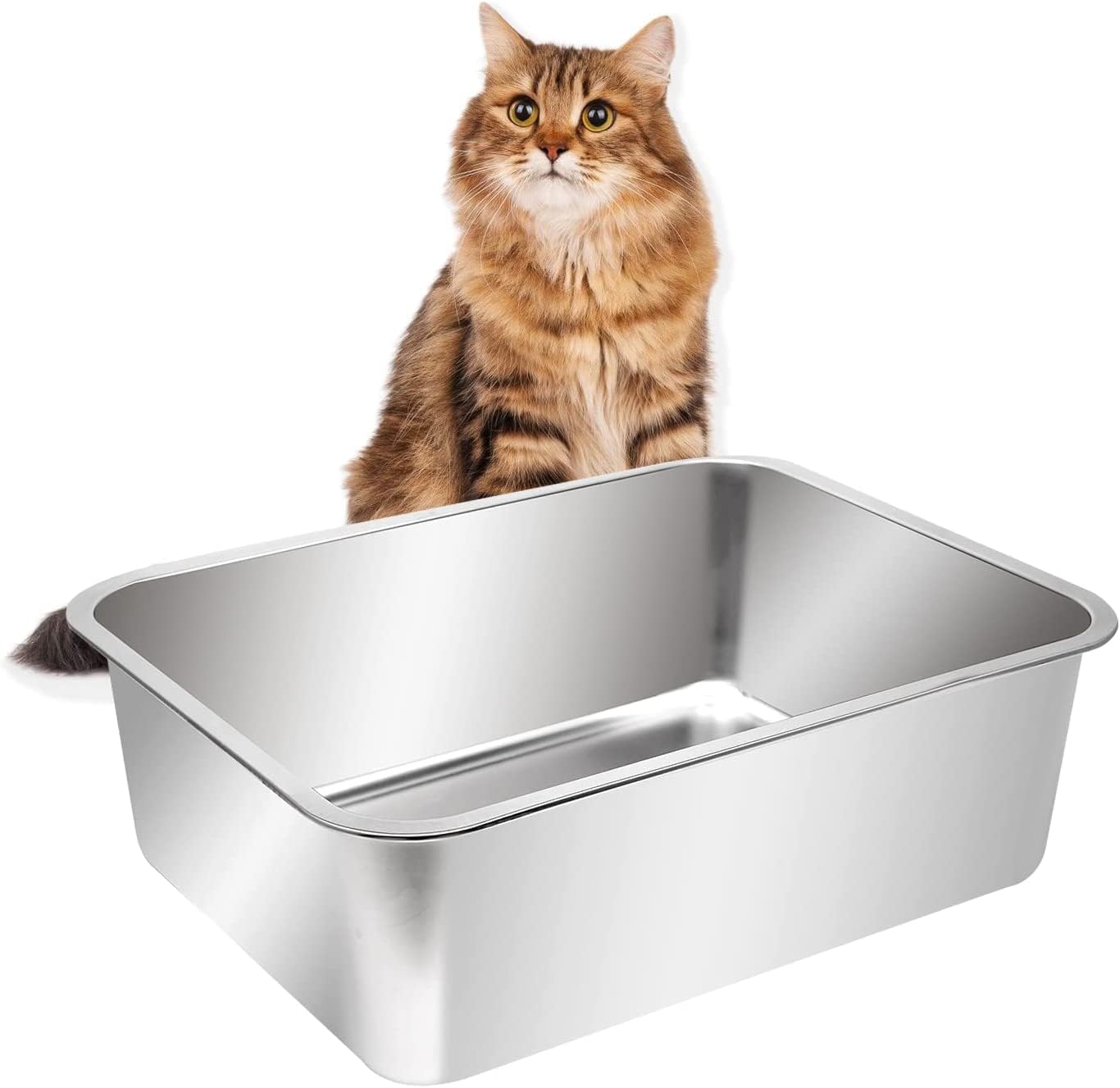 Kichwit Large Stainless Steel Cat Litter Box for Big Cats