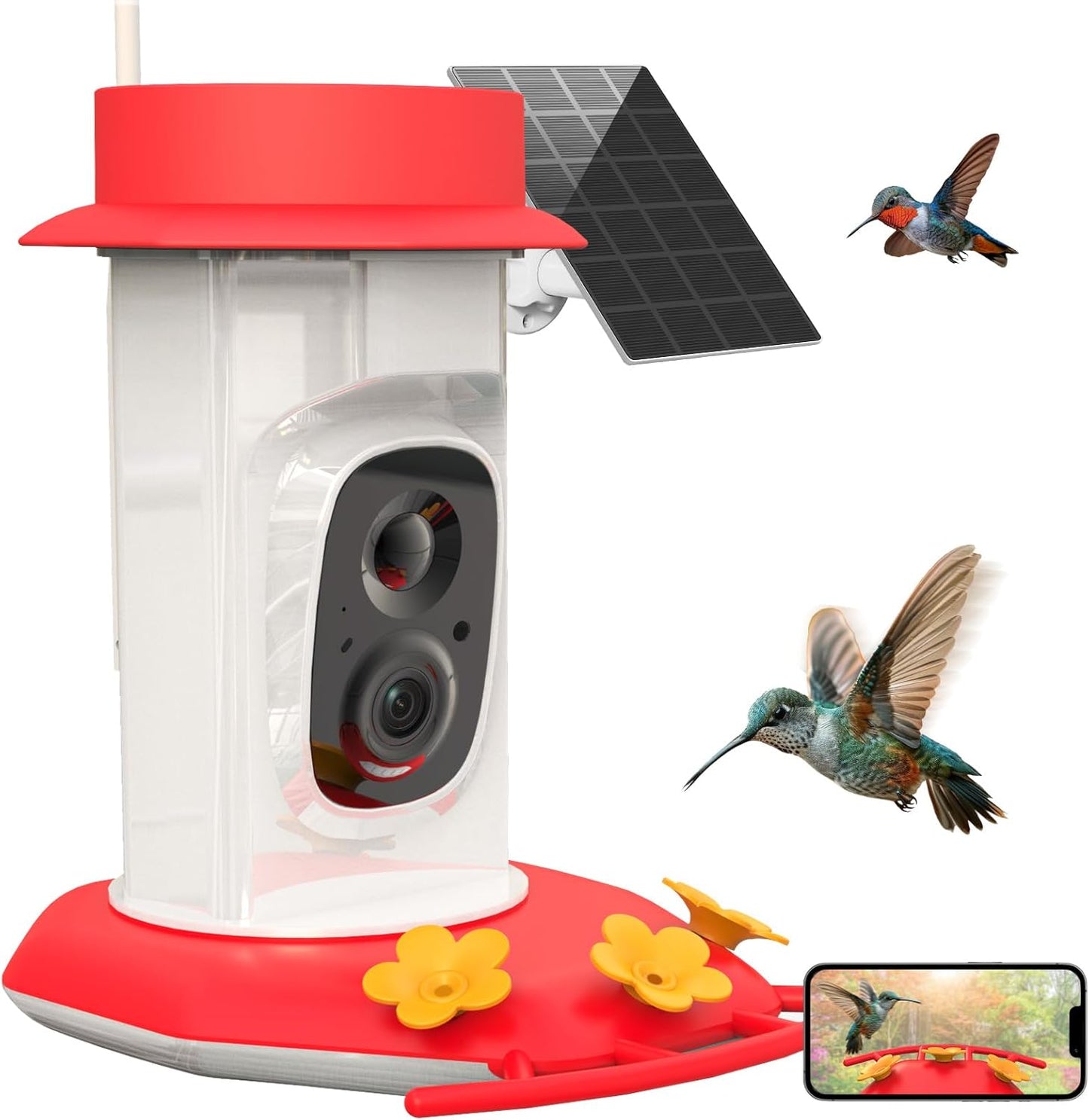 Smart Hummingbird Feeder - Ant Moat, Solar Power