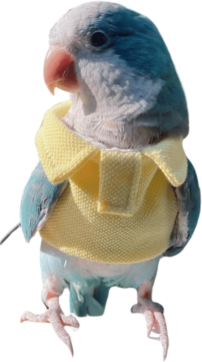 Parrot Costume with Diaper - Festive Fun!