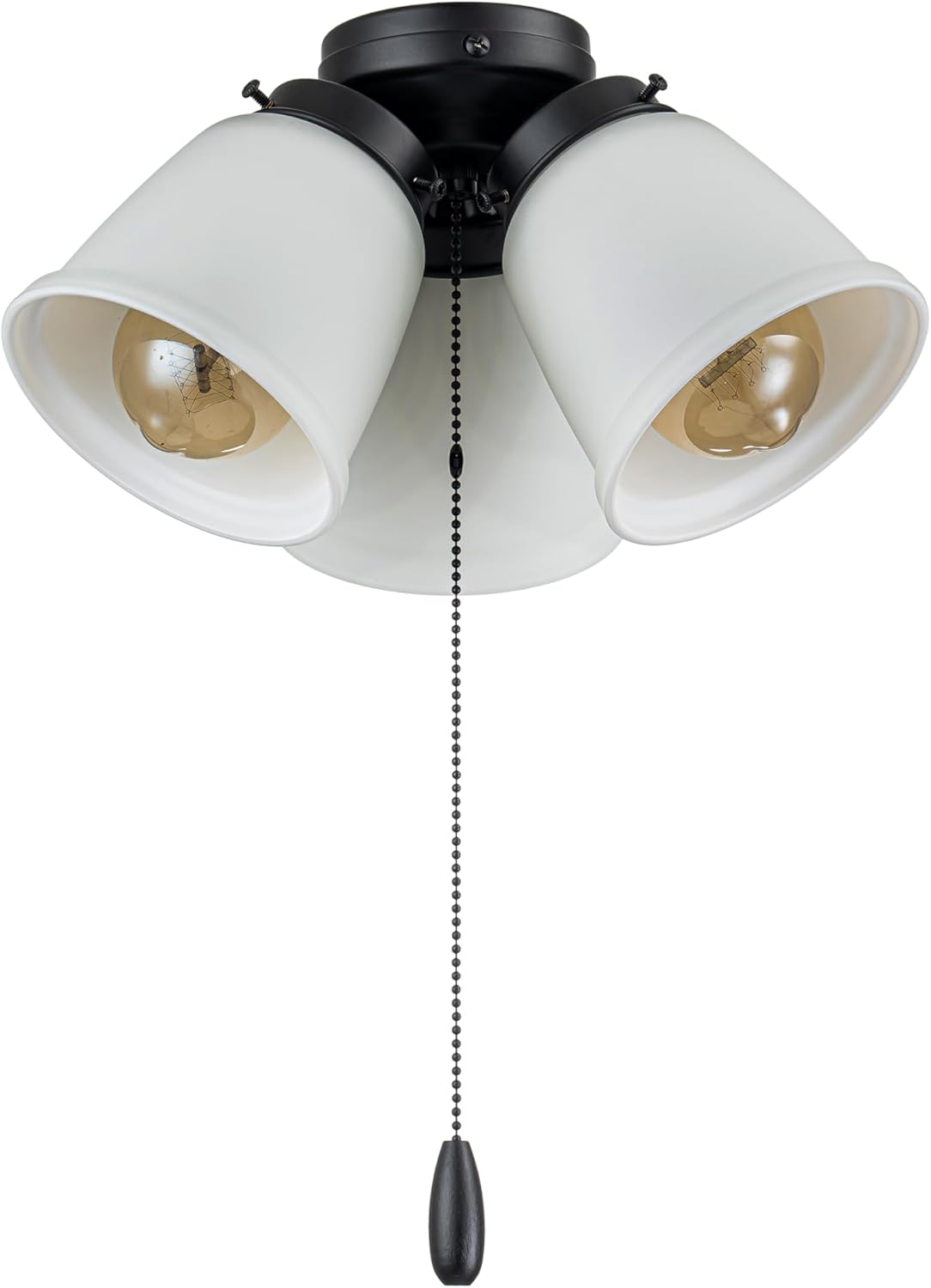 Three-Light Ceiling Fan Light Kit with Pull Chain in Matte Black