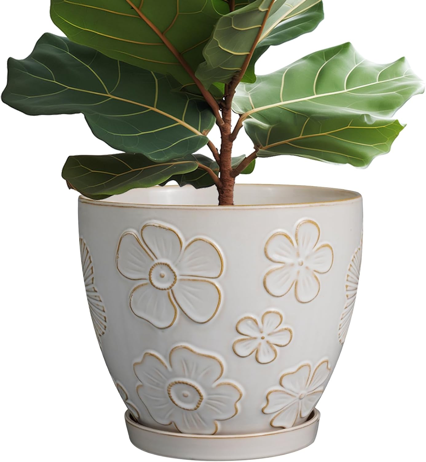 10 Inch Ceramic Planter Pot for Indoor and Outdoor Plants