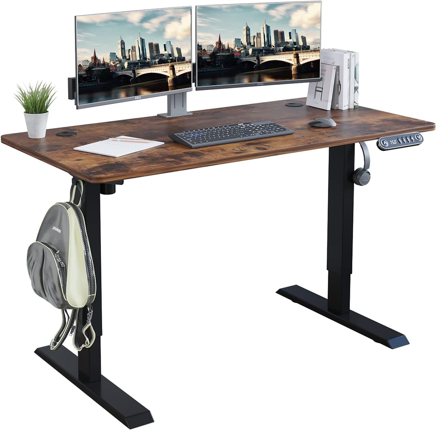 Radlove Electric Standing Desk 48 x 24 Inches for Home Office