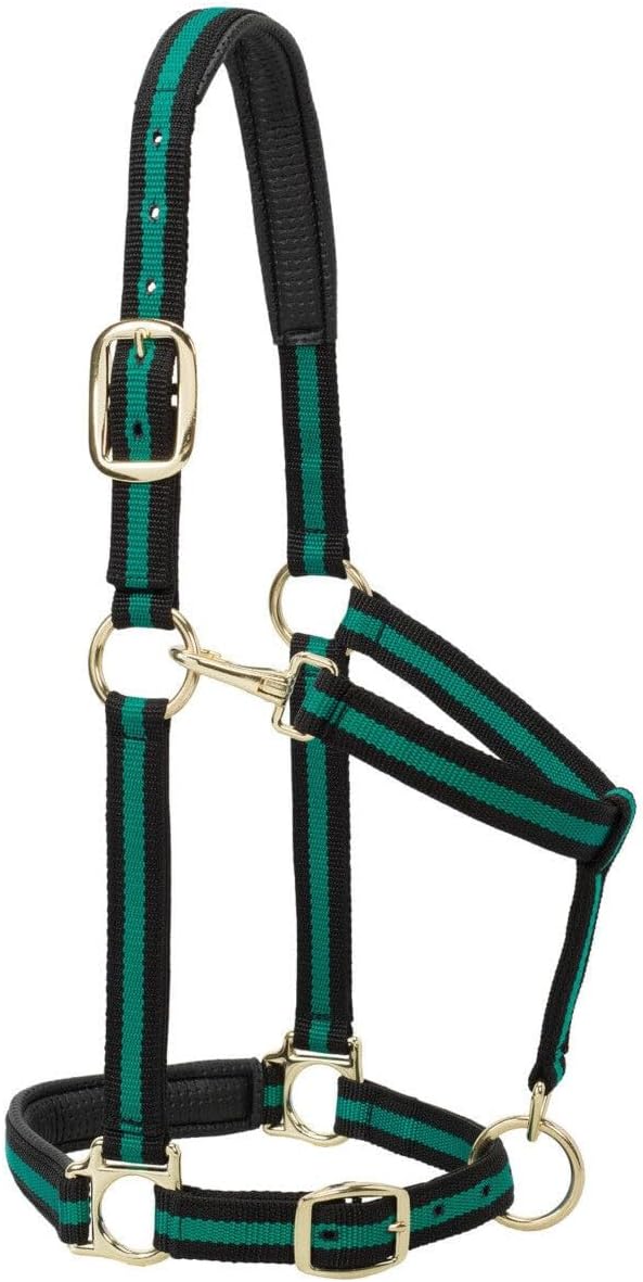 Weaver Equine Nylon Horse Halter with Triple-Ply Cheek Design