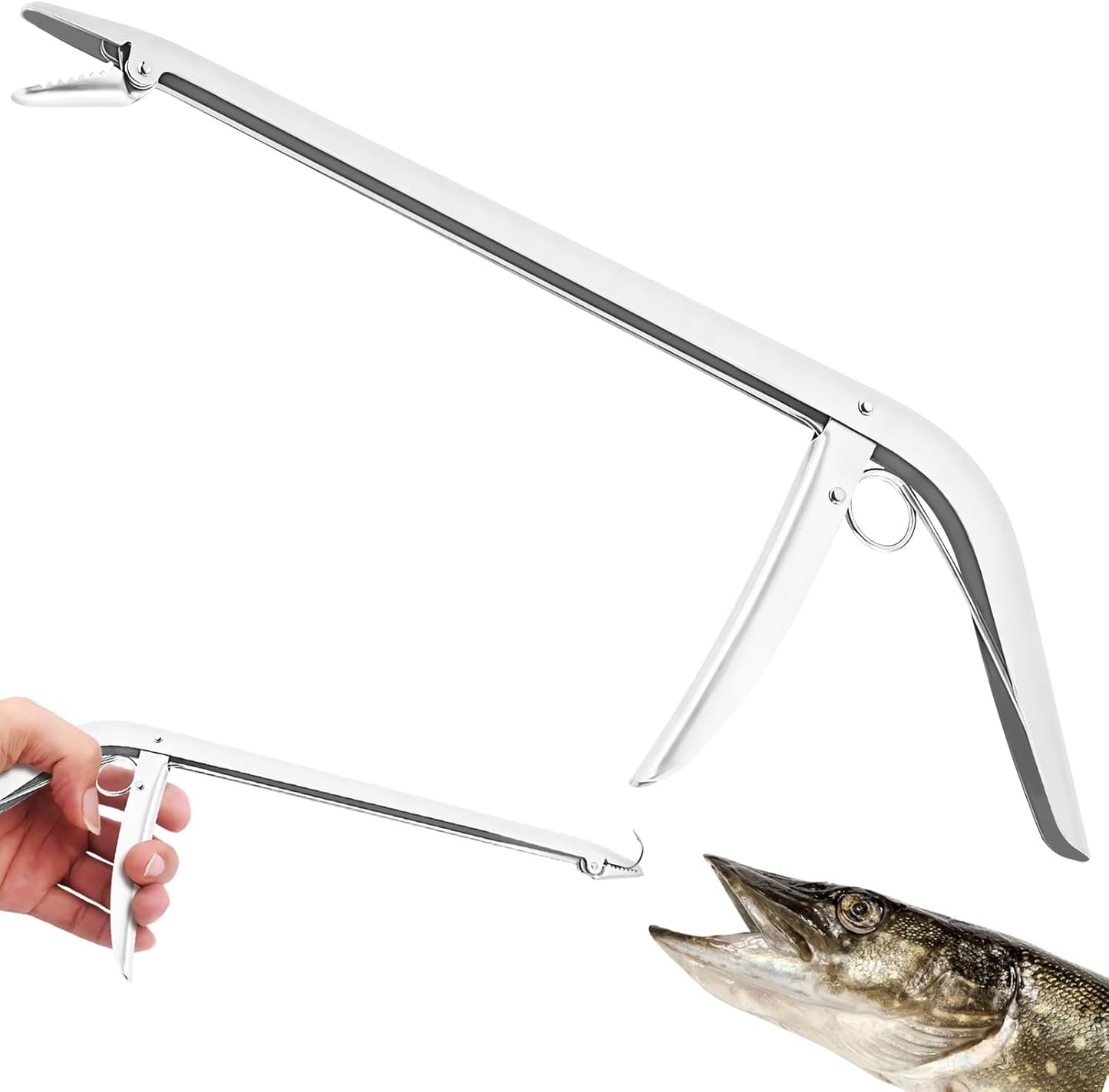 Quickly Unhook Fish with this Stainless Dehooker!