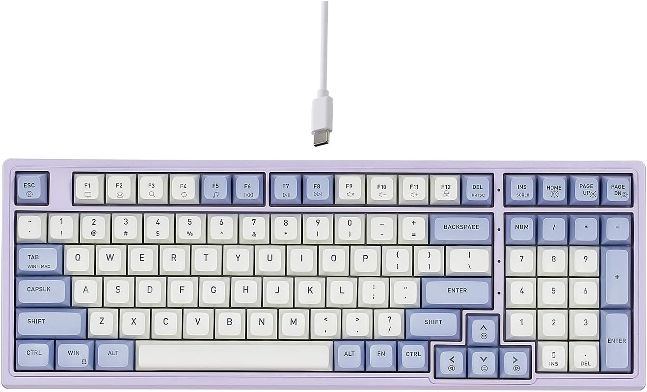 Hexgears Purple Rain M4 Mechanical Keyboard for Gaming and Work