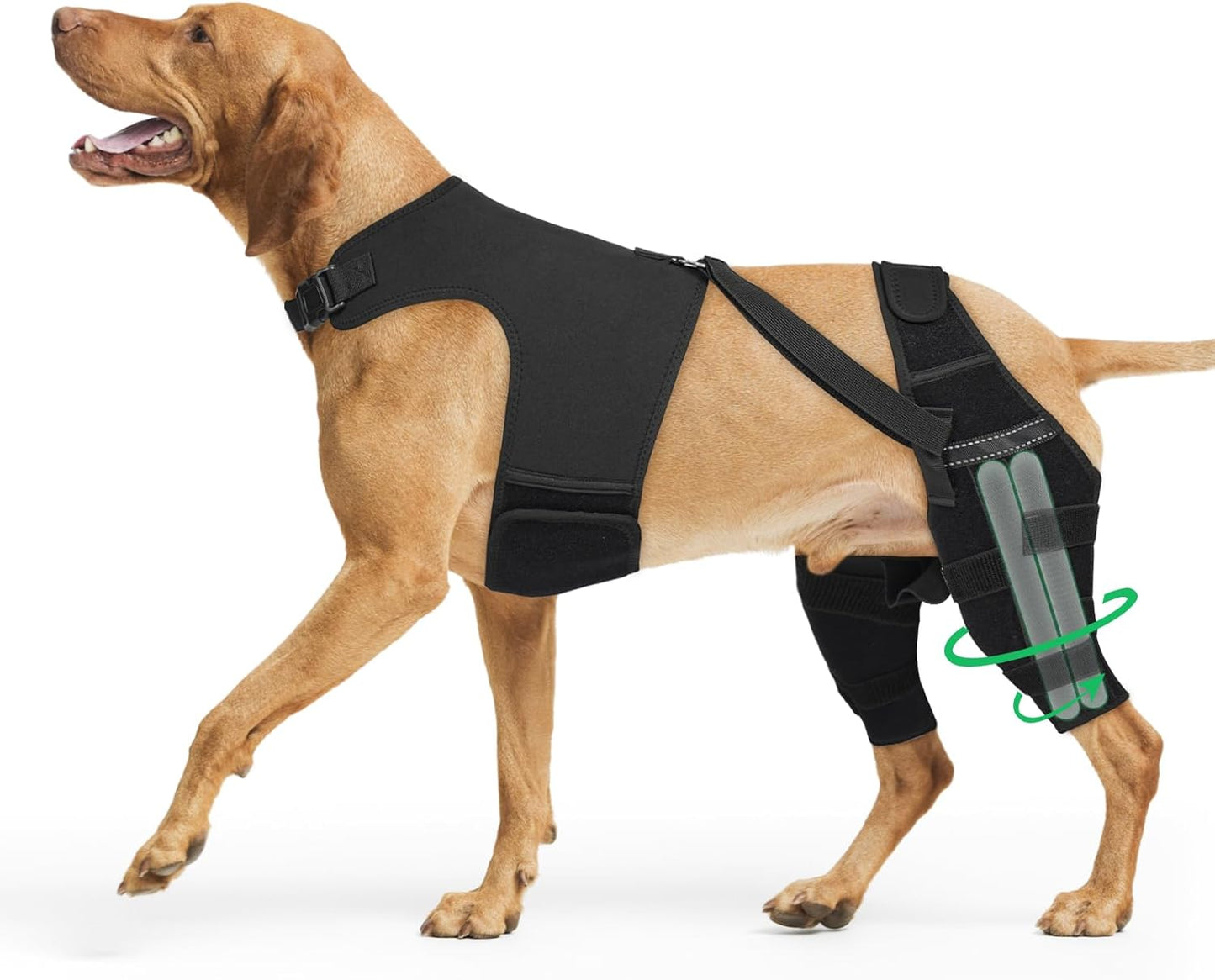 Dog Knee Brace for Torn ACL - Orthopedic Support for Dogs