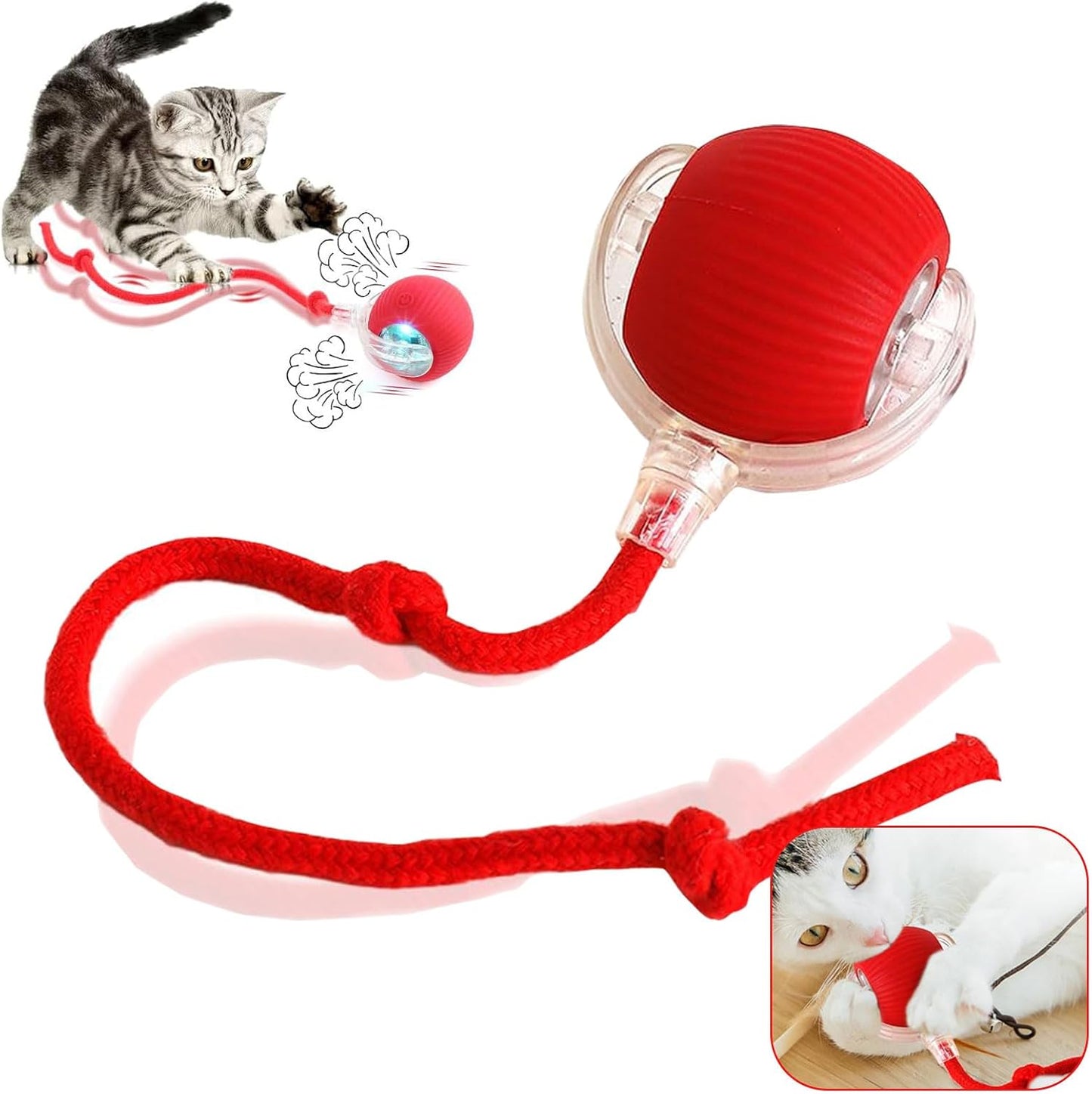 Interactive Pet Rolling Ball Toy
