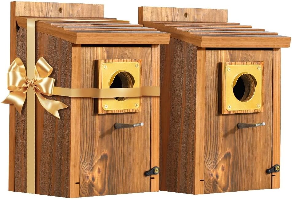 Premium Cedar Bluebird House 2pk for Outdoor Bird Lovers