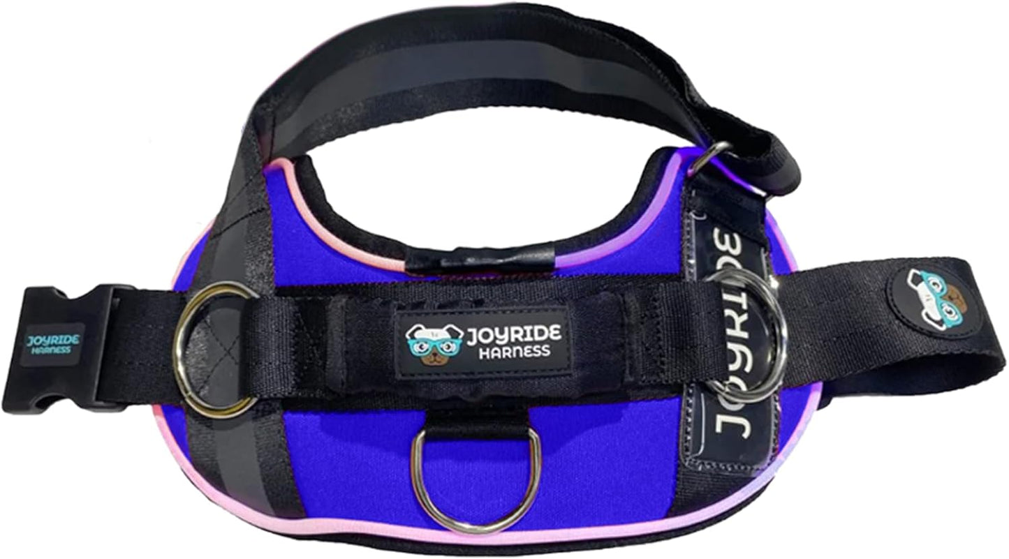 Joyride Harness LED Light Up Dog Harness 2.0 for Safety