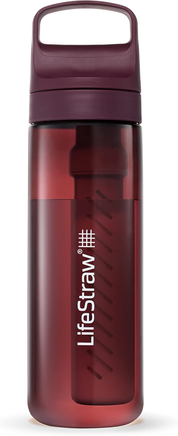 LifeStraw Go Series Water Filter Bottle for Travel and Everyday Use