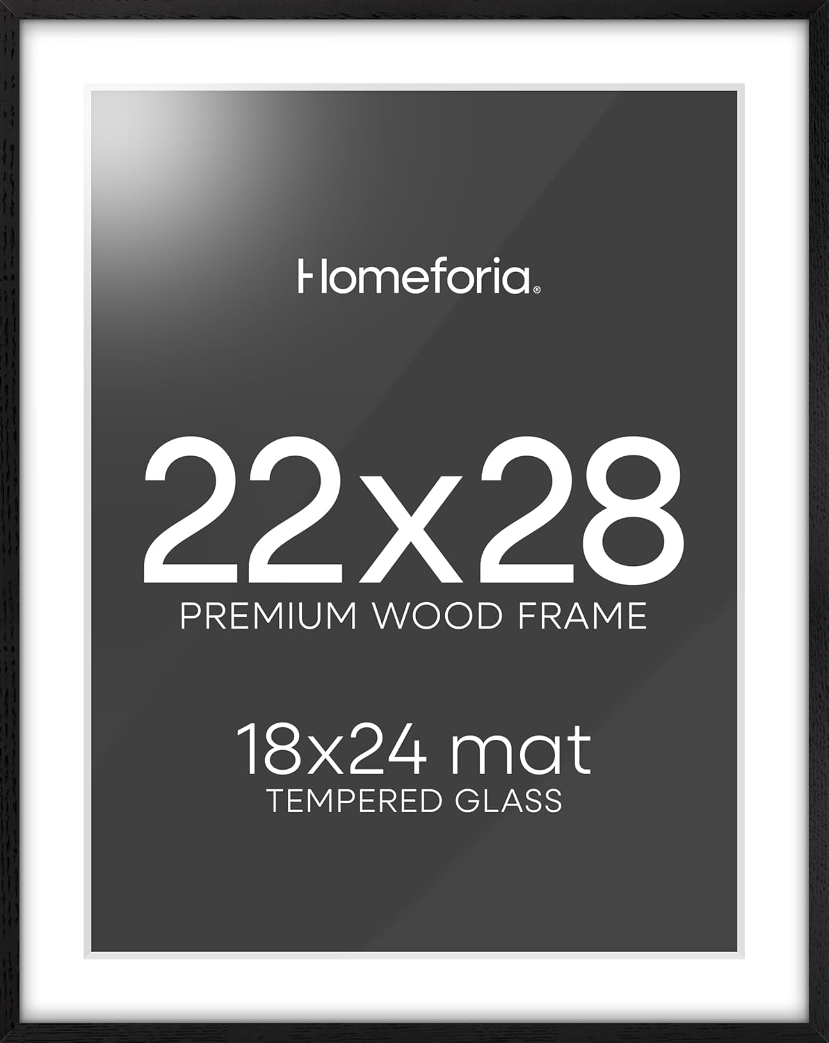 Homeforia 22x28 Poster Frame Black with Mat and Tempered Glass