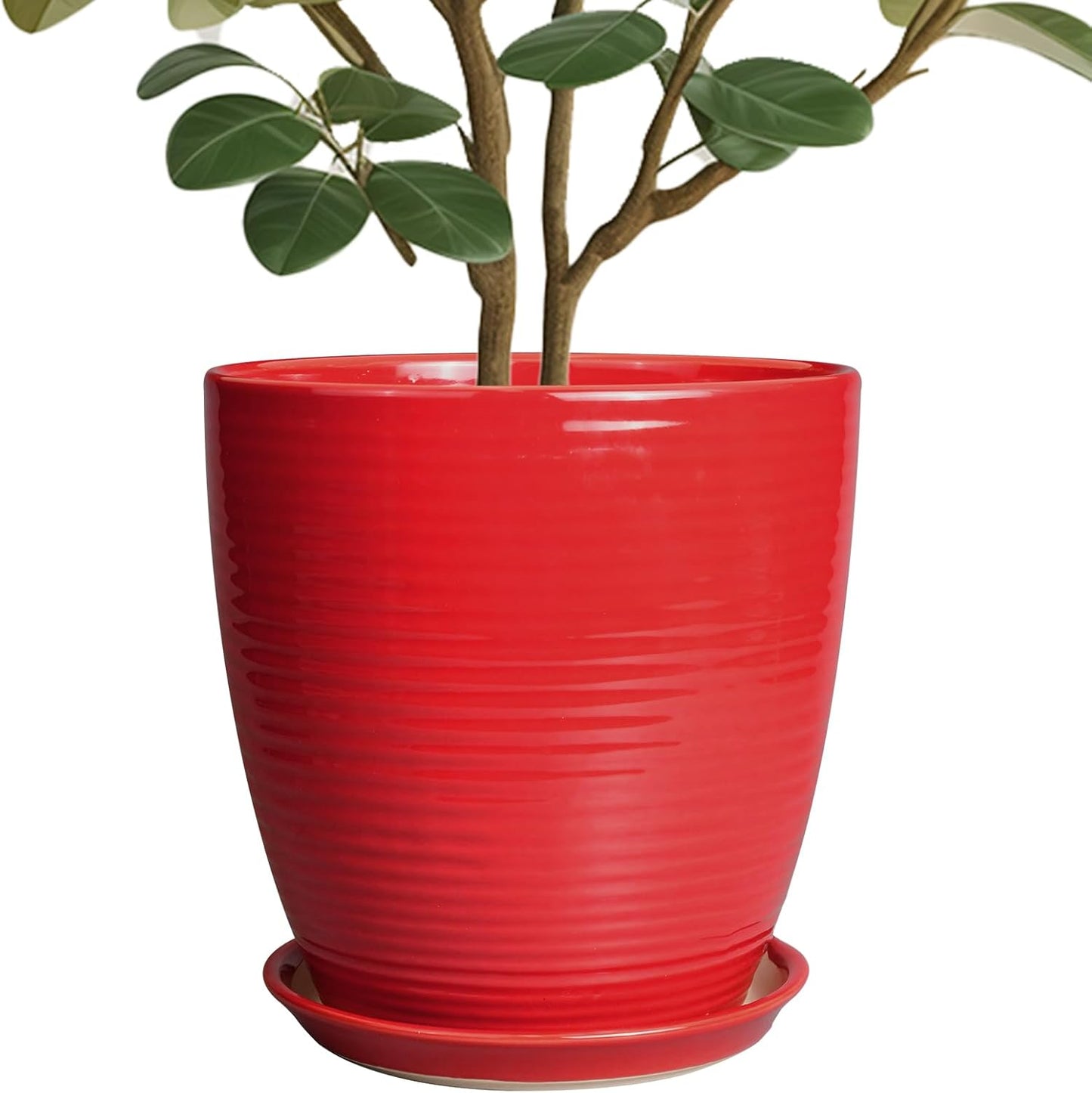 Ceramic Planter 10 Inch with Drainage Hole for Indoor Plants
