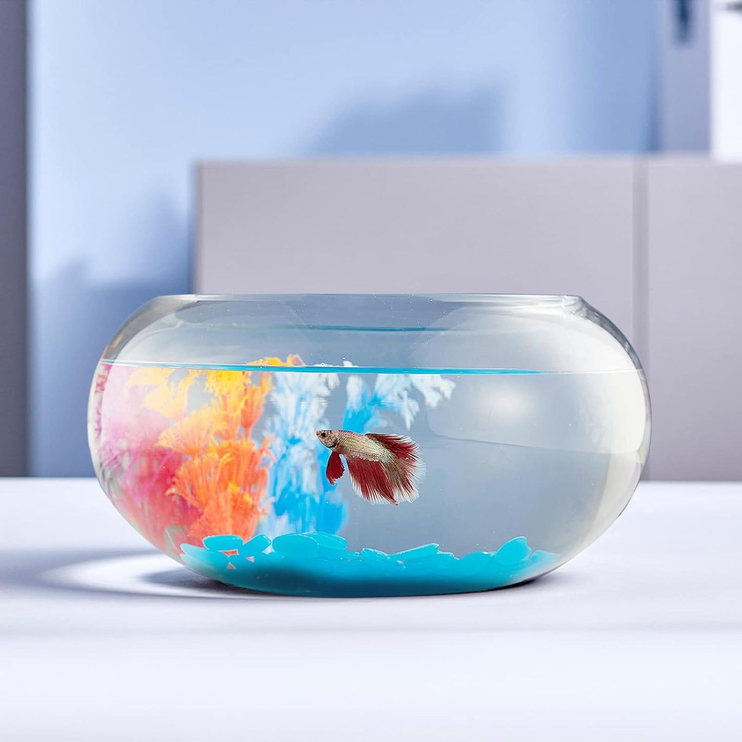 2 Gallon Glass Fish Bowl with Decor for Betta Fish and Goldfish