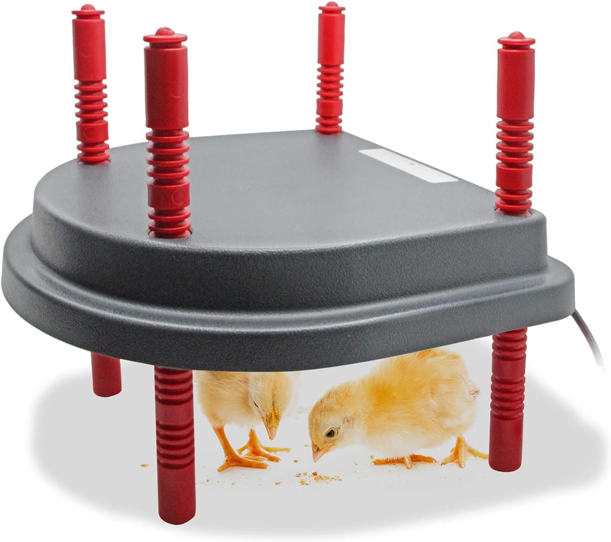 Kaduocom Chick Brooder Plate - Mother Hen's Warmth!