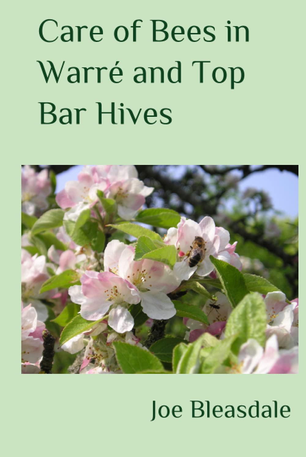 Care of Bees in Warre and Top Bar Hives: Essential Guide