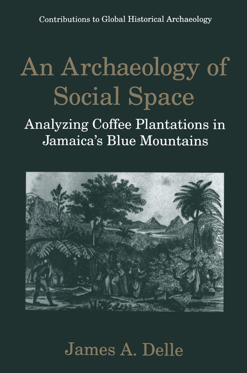 An Archaeology of Social Space by Delle and Leone Review