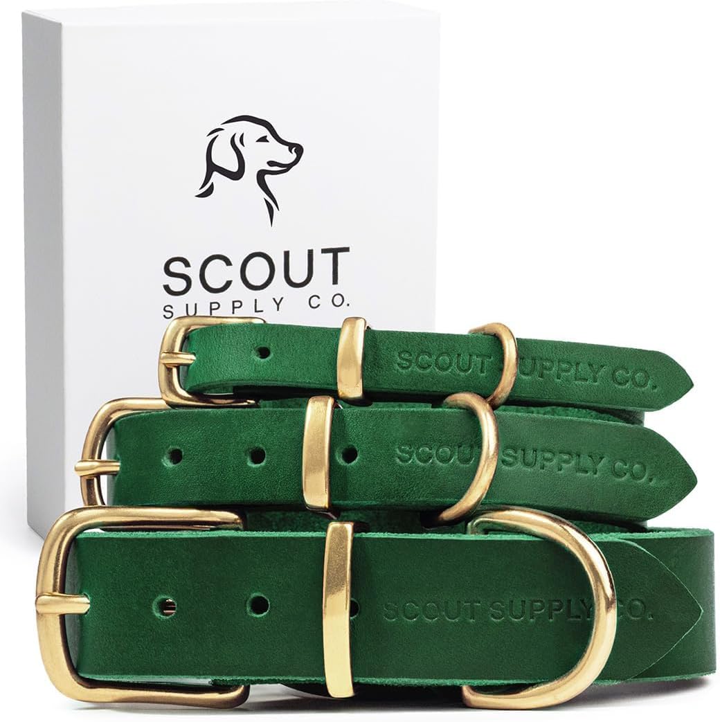 Classic Genuine Leather Dog Collar for All Dog Sizes and Styles