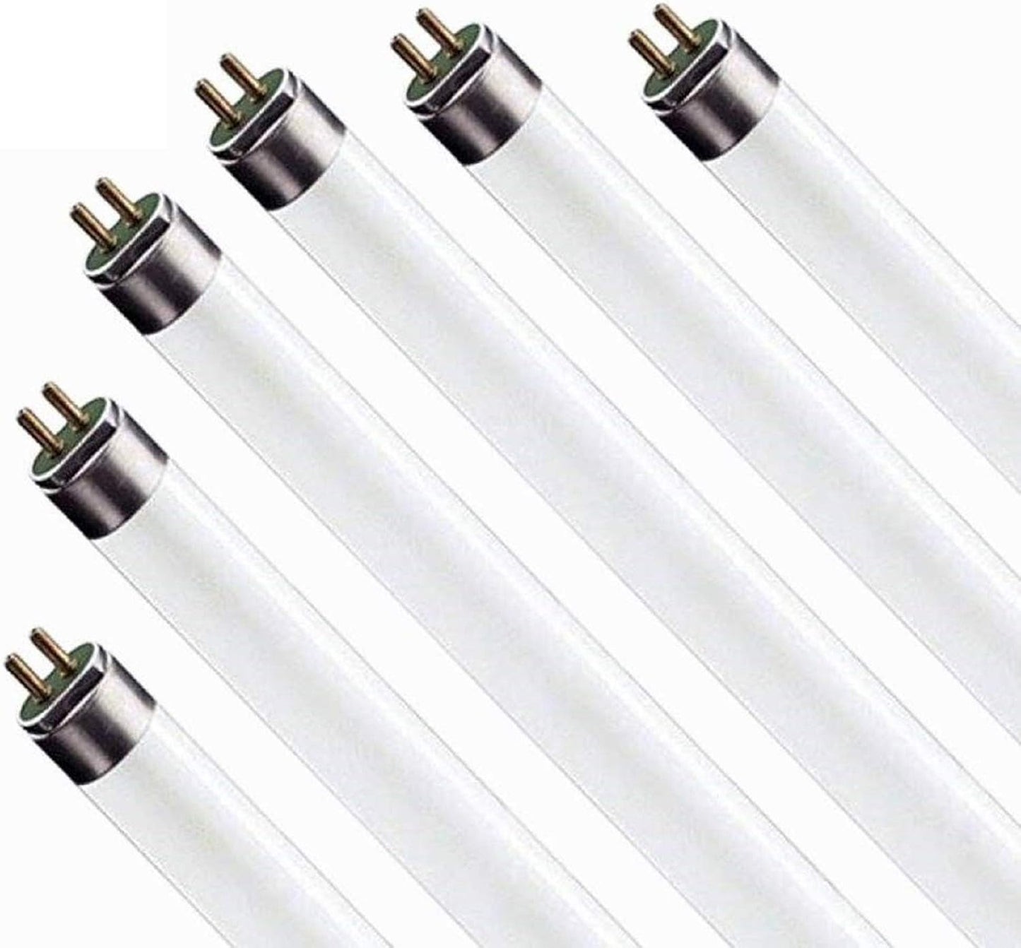 Circle 6 Pack F17T8/865 17W 24 Inch T8 Fluorescent Bulbs