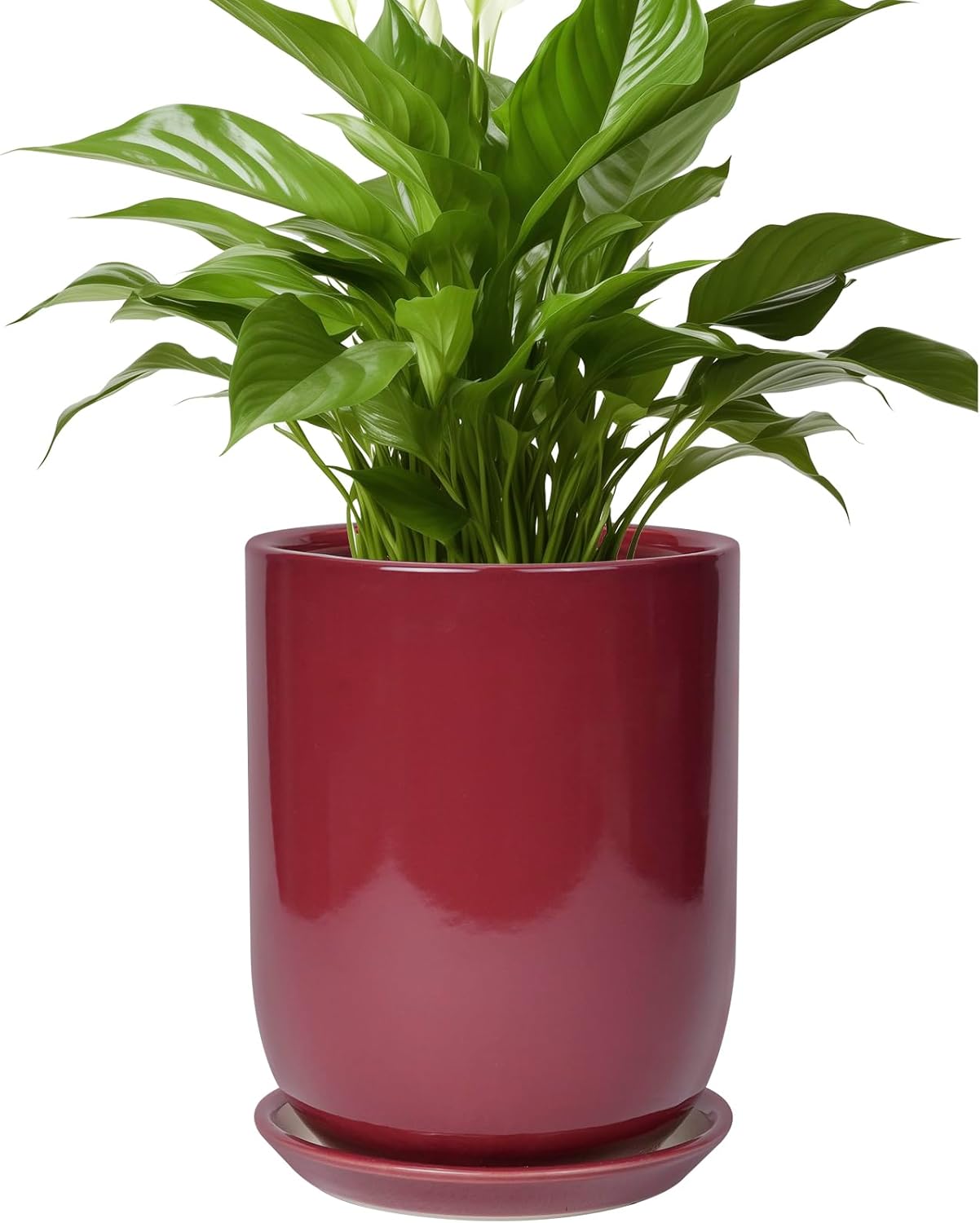 Ceramic Pot for Plants - 8 Inch Indoor Flower Pot with Saucer