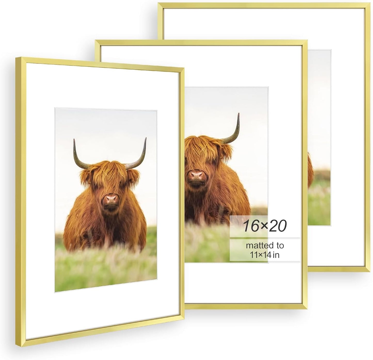 Elegant 16x20 Picture Frame Set of 3 with Gold Thin Border