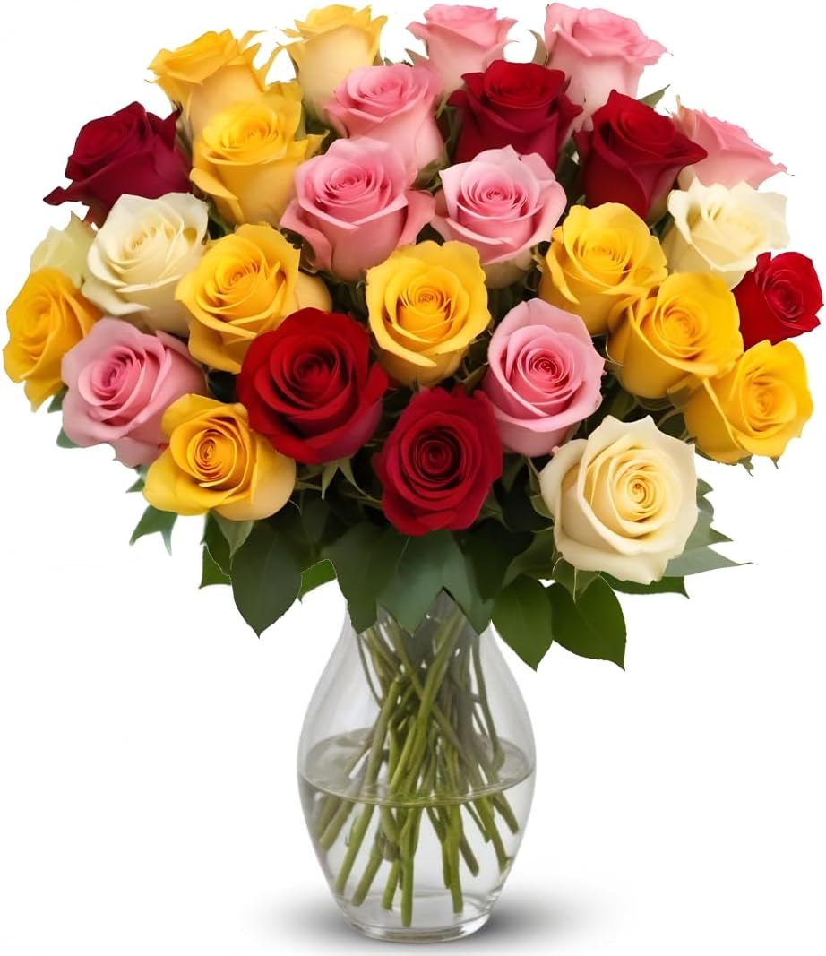 25 Rainbow Roses in Hand Blown Glass Vase for Any Occasion