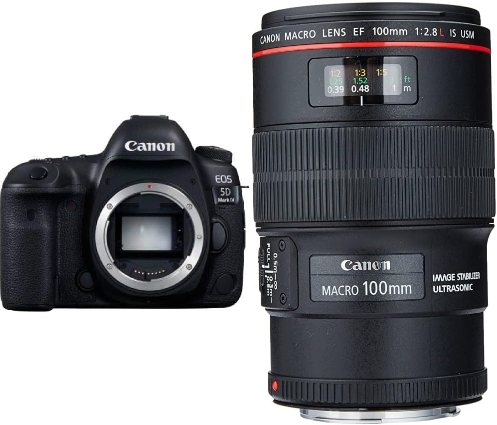 Canon EOS 5D Mark IV Full Frame Digital SLR Camera Body Review