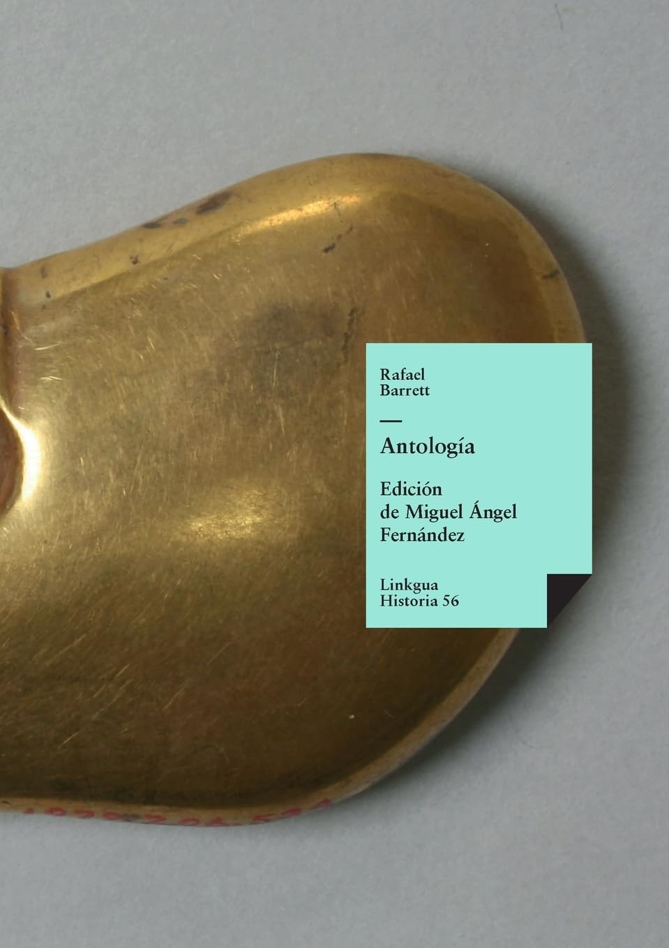 Antologia (Historia) Spanish Edition by Rafael Barrett Review