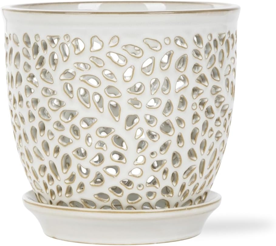 Elegant Orchid Pot with Holes - Premium 6.5 inch Ceramic Planter