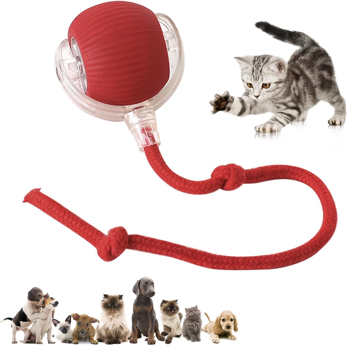 Interactive Rolling Pet Ball for Fast Fun!