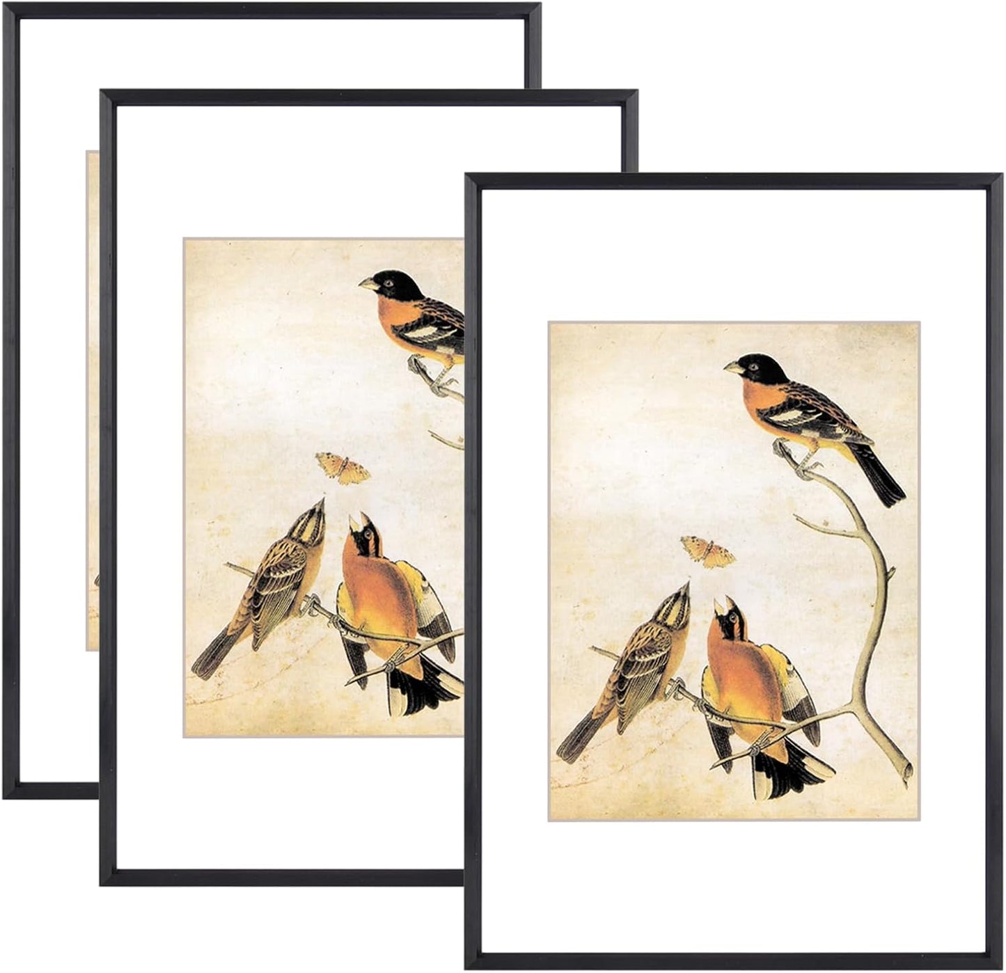 8x12 Picture Frame Set of 3, Black Aluminum Metal Frames