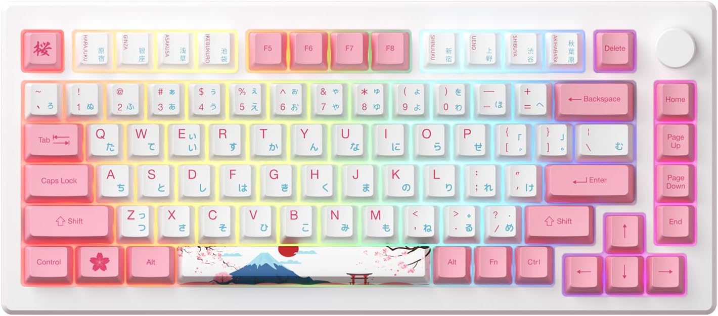 Akko Magnetic Switches Rapid Trigger Gaming Keyboard Review