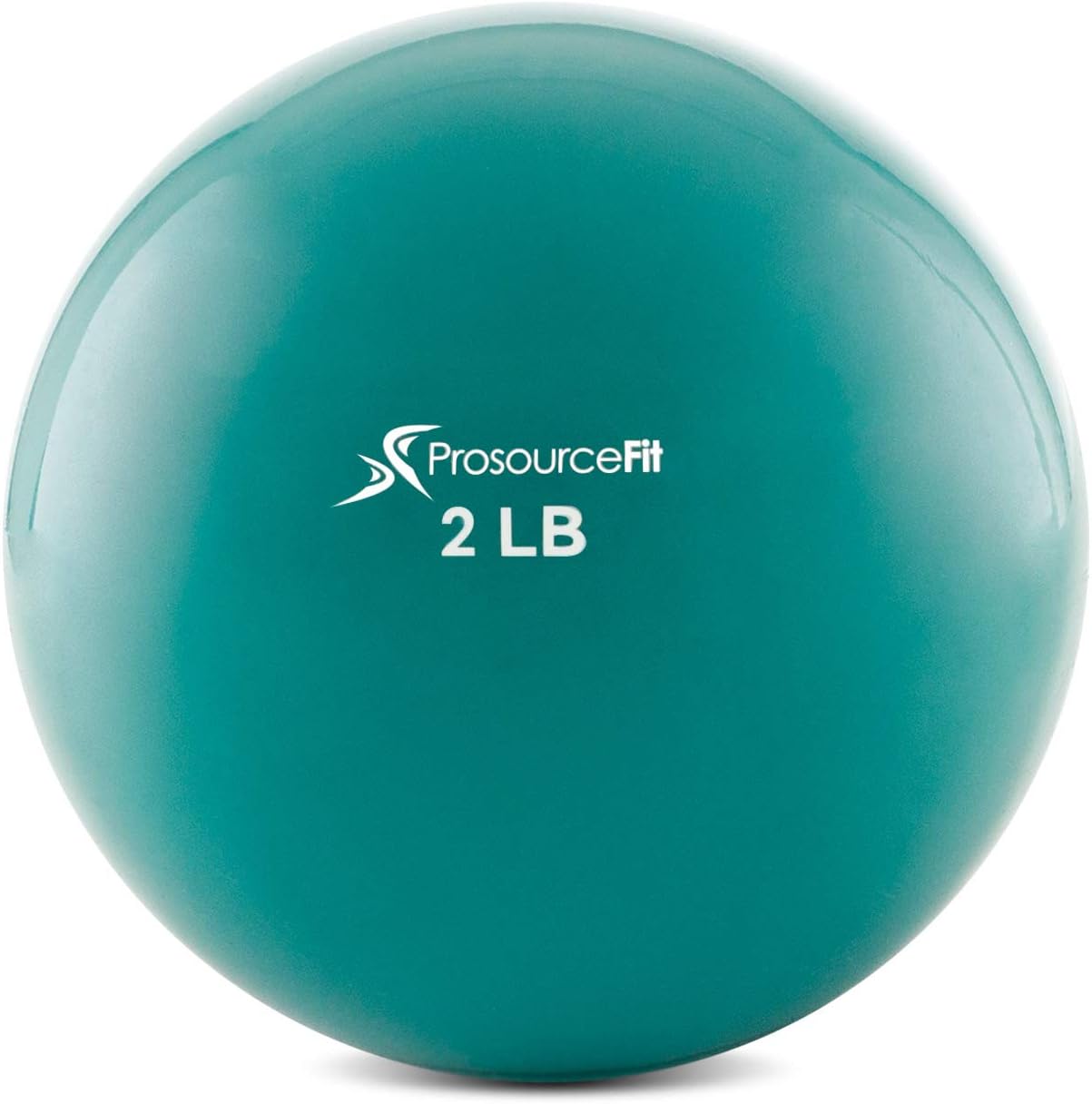 ProsourceFit Weighted Exercise Balls - Tone & Strengthen