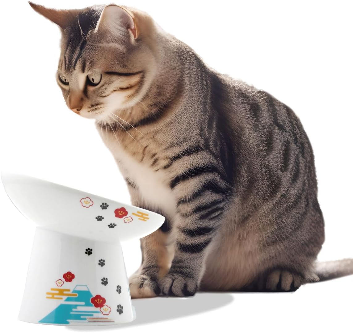 Necoichi Raised Cat Food Bowl for Whisker Fatigue Relief