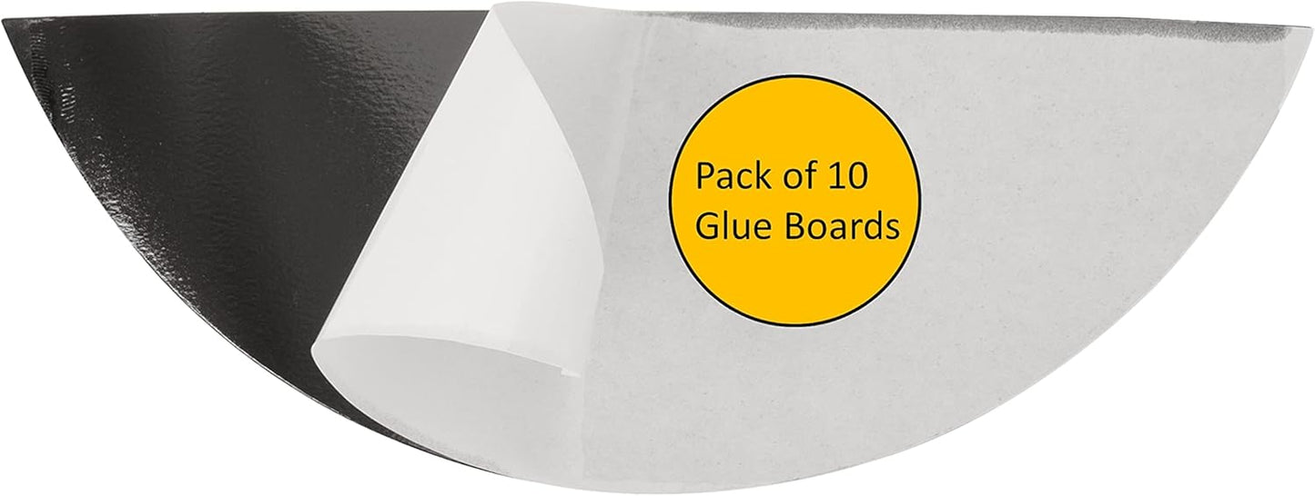 Replacement Sticky Type C Glue Boards for Fly Trap Lamps