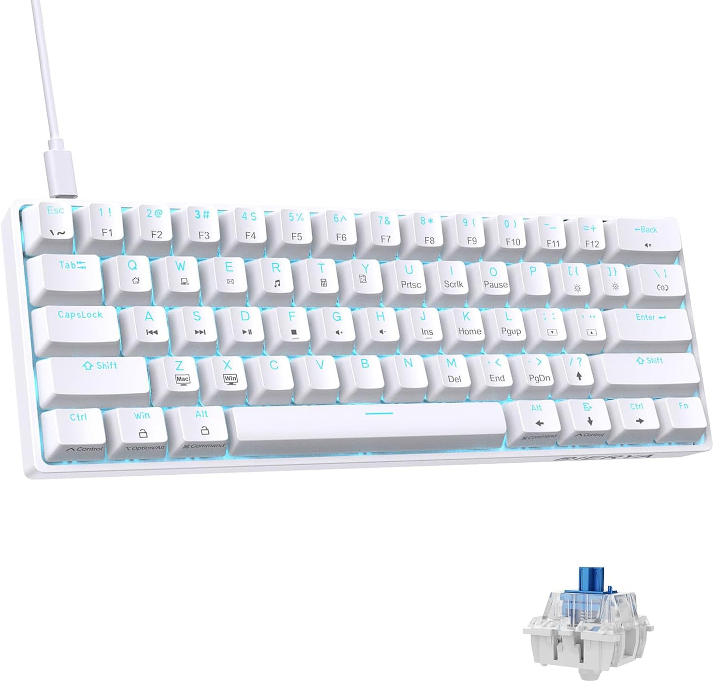 DIERYA DK61SE Mini Gaming Keyboard: Blue Clicky Switch